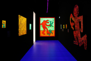 kunsthal rotterdam: keith haring, the political line